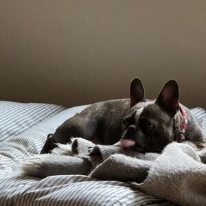 Meet your Posher, Stormy.